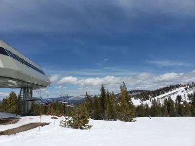 20190517_122702 (Large).jpg